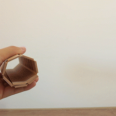 Roll-Up Quoridor